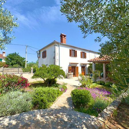 Holiday Home Lavanda Kornić Exteriér fotografie