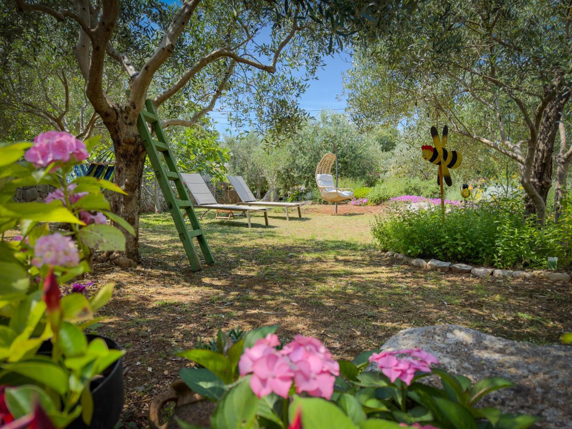 Holiday Home Lavanda Kornić Exteriér fotografie