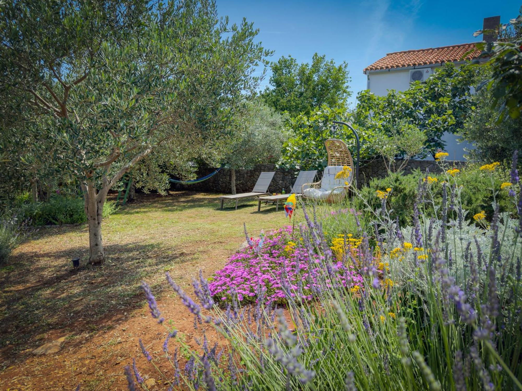 Holiday Home Lavanda Kornić Exteriér fotografie