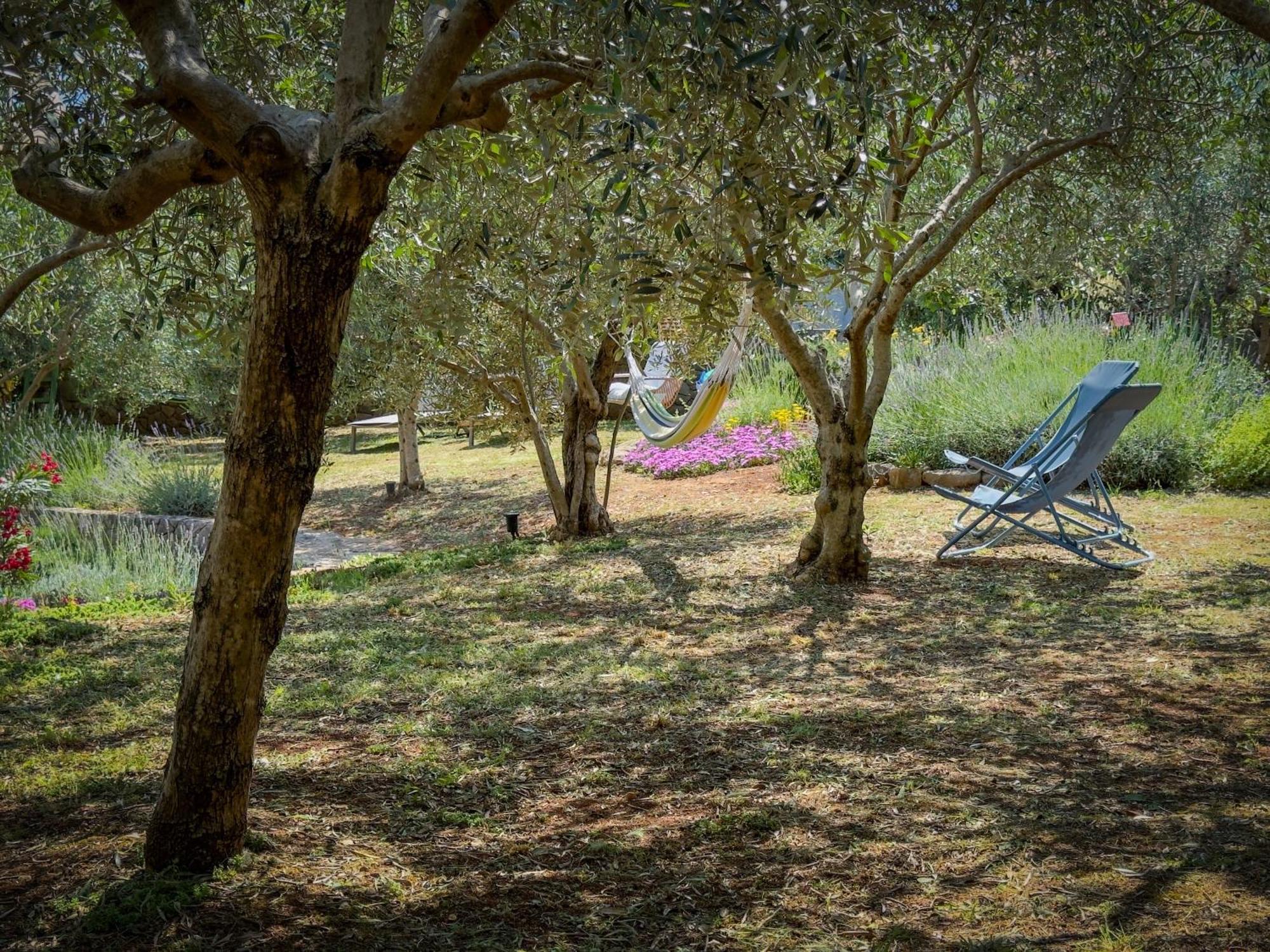 Holiday Home Lavanda Kornić Exteriér fotografie